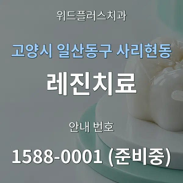 고양시 일산동구 사리현동 레진치료 대표 안내 그래픽
