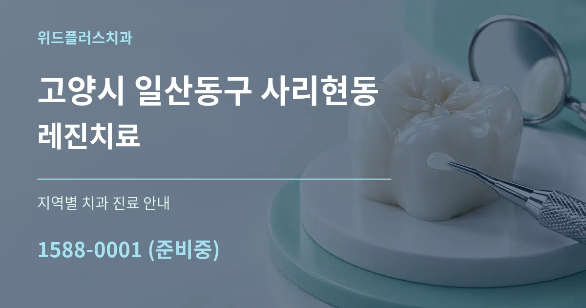 고양시 일산동구 사리현동 레진치료 대표 안내 그래픽