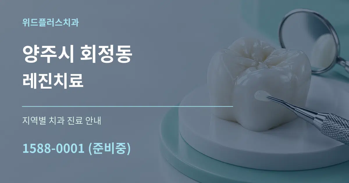 양주시 회정동 레진치료 대표 안내 그래픽