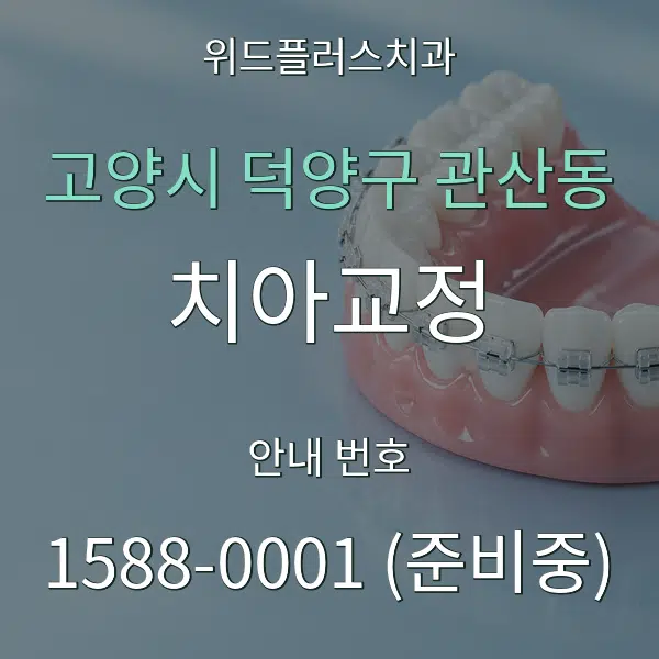 고양시 덕양구 관산동 치아교정 대표 안내 그래픽