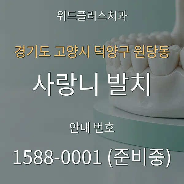 경기도 고양시 덕양구 원당동 사랑니 발치 대표 안내 그래픽