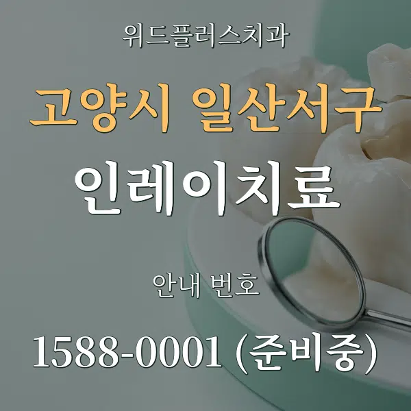 고양시 일산서구 인레이치료 대표 안내 그래픽