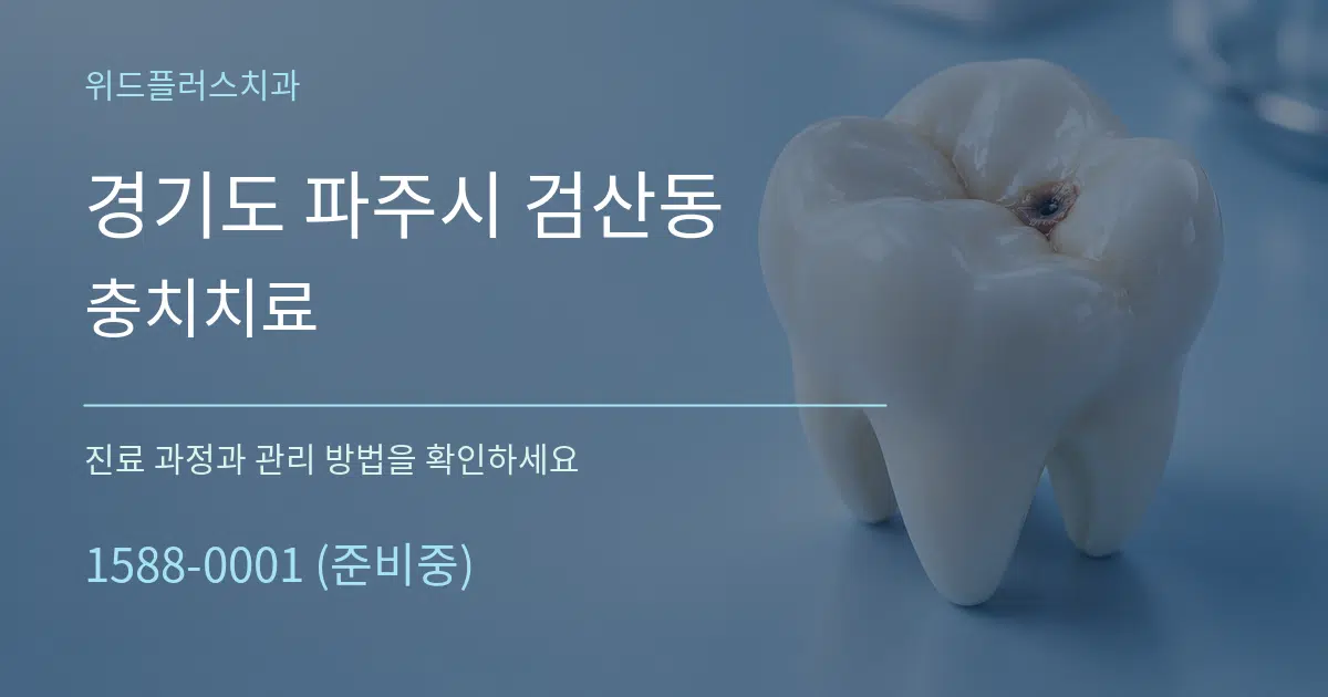 경기도 파주시 검산동 충치치료 서비스 이용 안내 그래픽