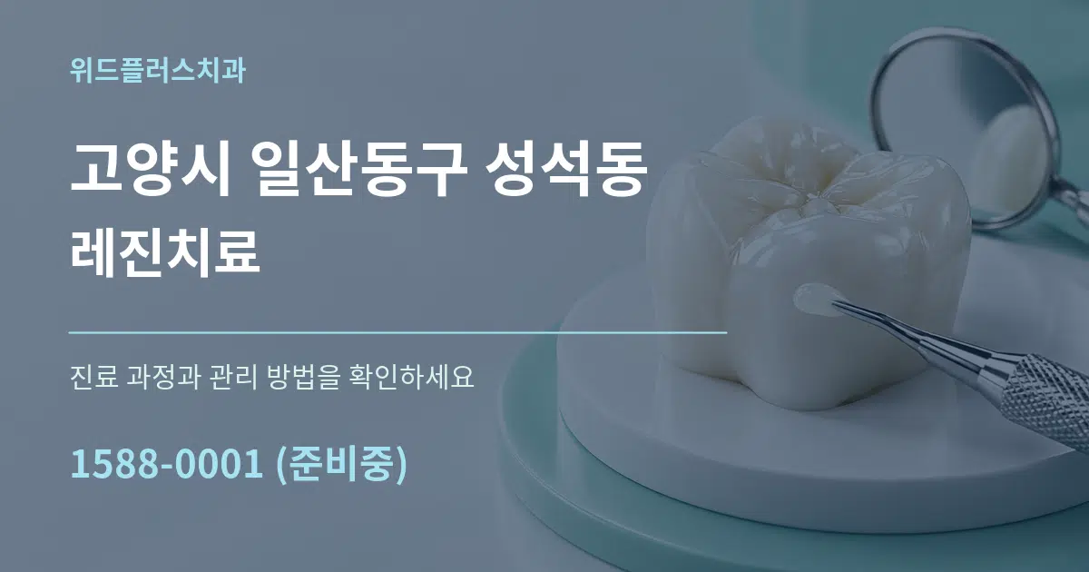 고양시 일산동구 성석동 레진치료 서비스 이용 안내 그래픽