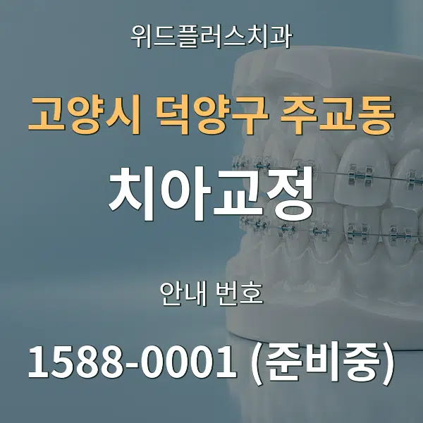 고양시 덕양구 주교동 치아교정 대표 안내 그래픽