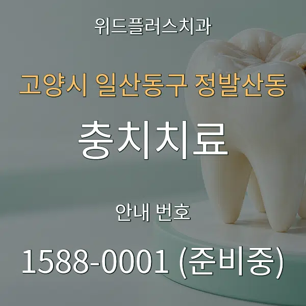 고양시 일산동구 정발산동 충치치료 대표 안내 그래픽