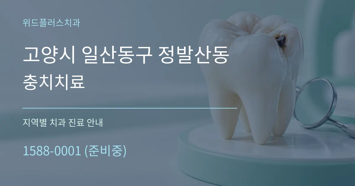 고양시 일산동구 정발산동 충치치료 대표 안내 그래픽