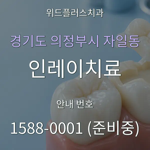 경기도 의정부시 자일동 인레이치료 대표 안내 그래픽