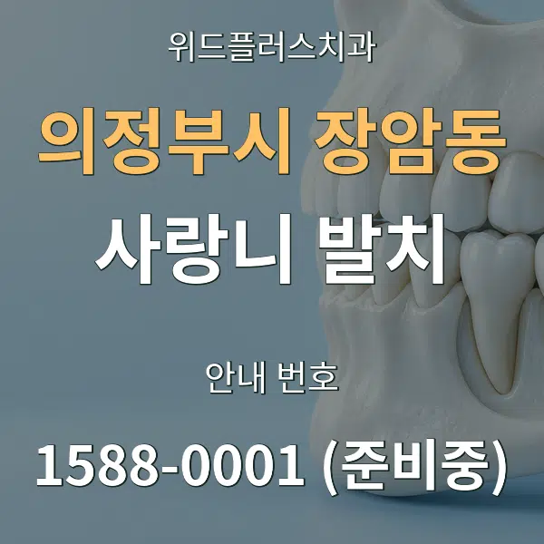 의정부시 장암동 사랑니 발치 대표 안내 그래픽