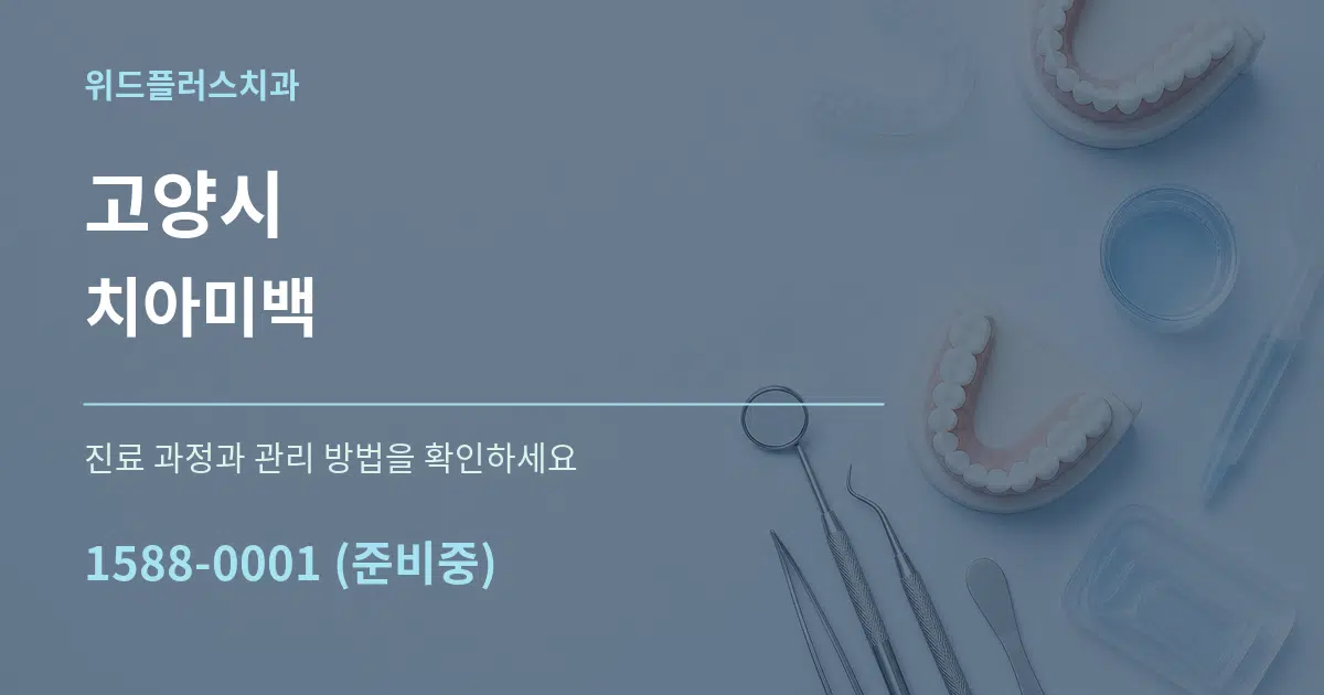 고양시 치아미백 서비스 이용 안내 그래픽