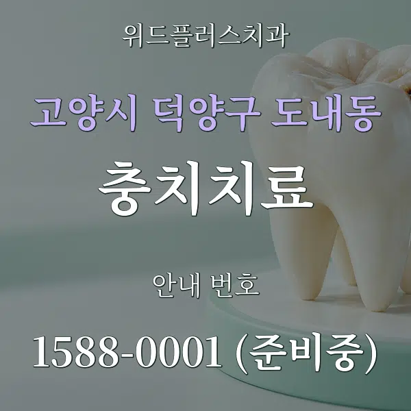 고양시 덕양구 도내동 충치치료 대표 안내 그래픽