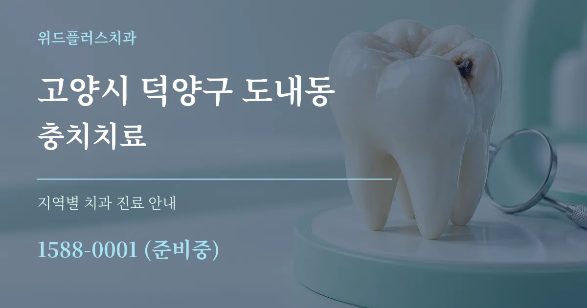 고양시 덕양구 도내동 충치치료 대표 안내 그래픽