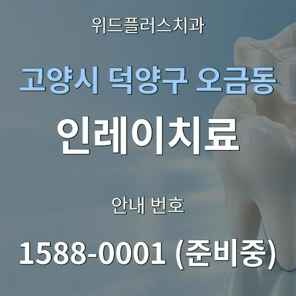 고양시 덕양구 오금동 인레이치료 대표 안내 그래픽