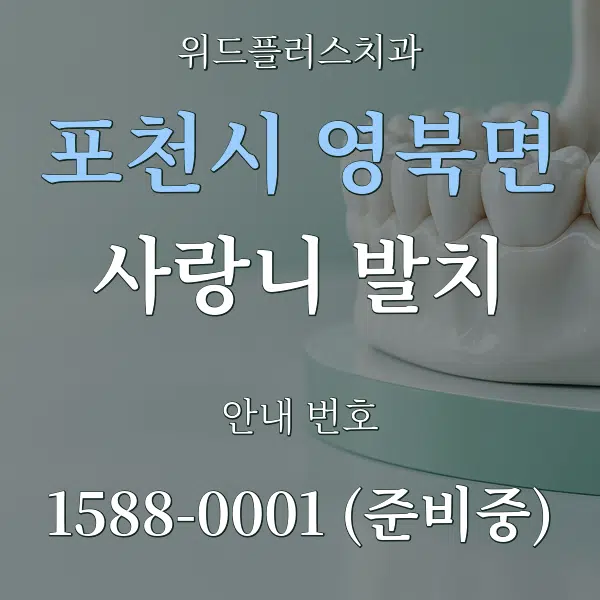 포천시 영북면 사랑니 발치 대표 안내 그래픽