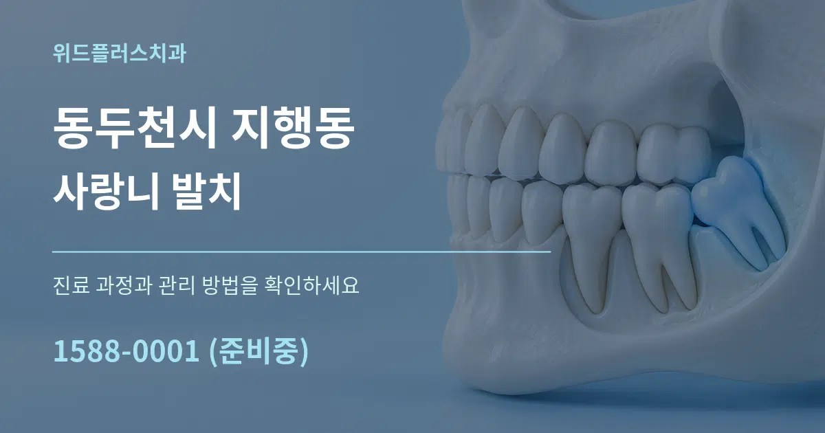 동두천시 지행동 사랑니 발치 서비스 이용 안내 그래픽