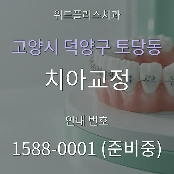 고양시 덕양구 토당동 치아교정 대표 안내 그래픽