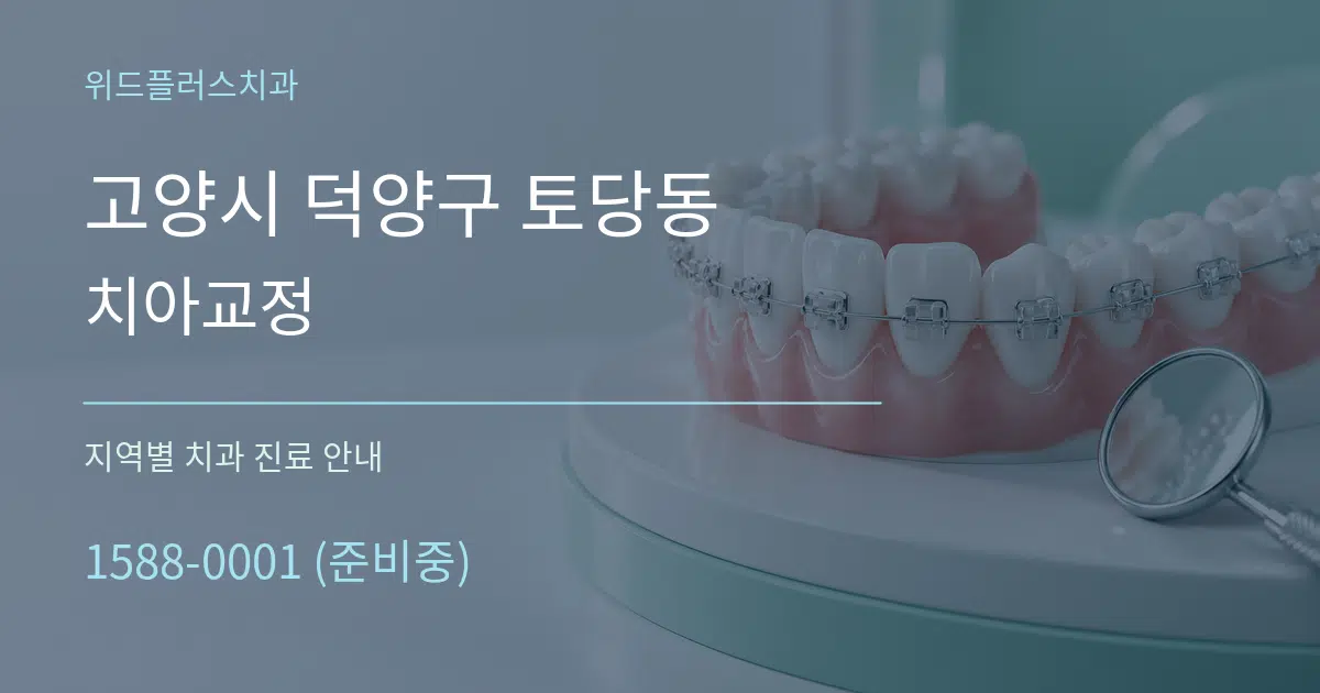 고양시 덕양구 토당동 치아교정 대표 안내 그래픽