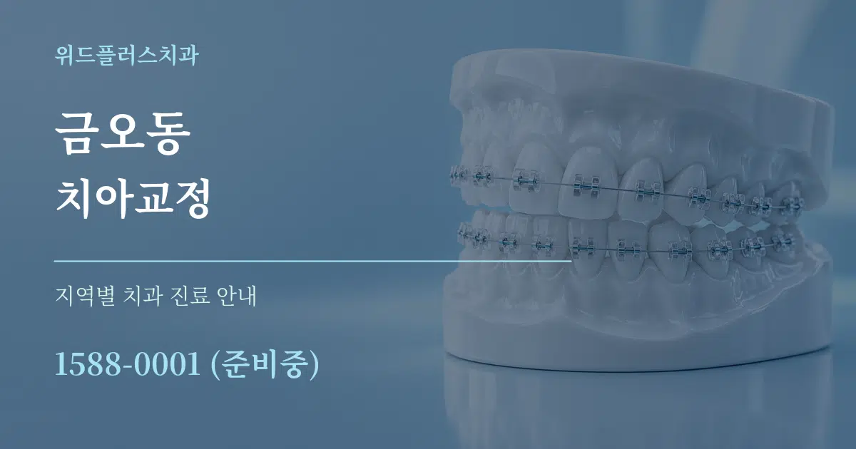 금오동 치아교정 대표 안내 그래픽