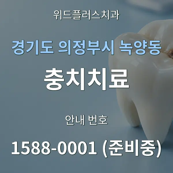경기도 의정부시 녹양동 충치치료 대표 안내 그래픽