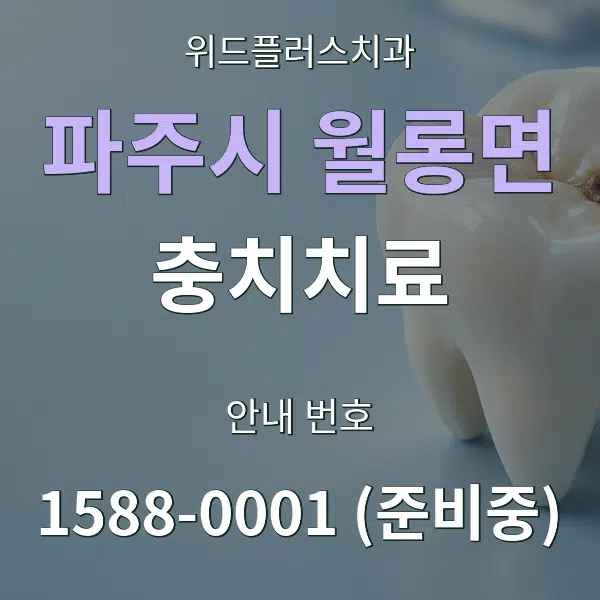 파주시 월롱면 충치치료 대표 안내 그래픽