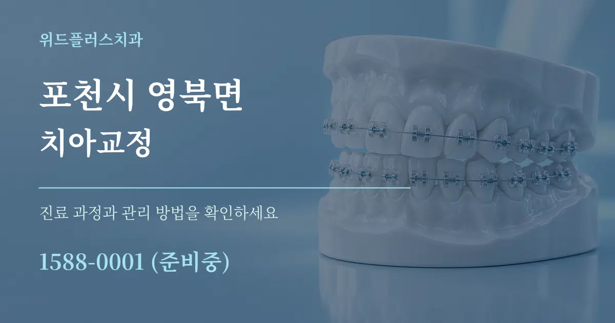 포천시 영북면 치아교정 서비스 이용 안내 그래픽