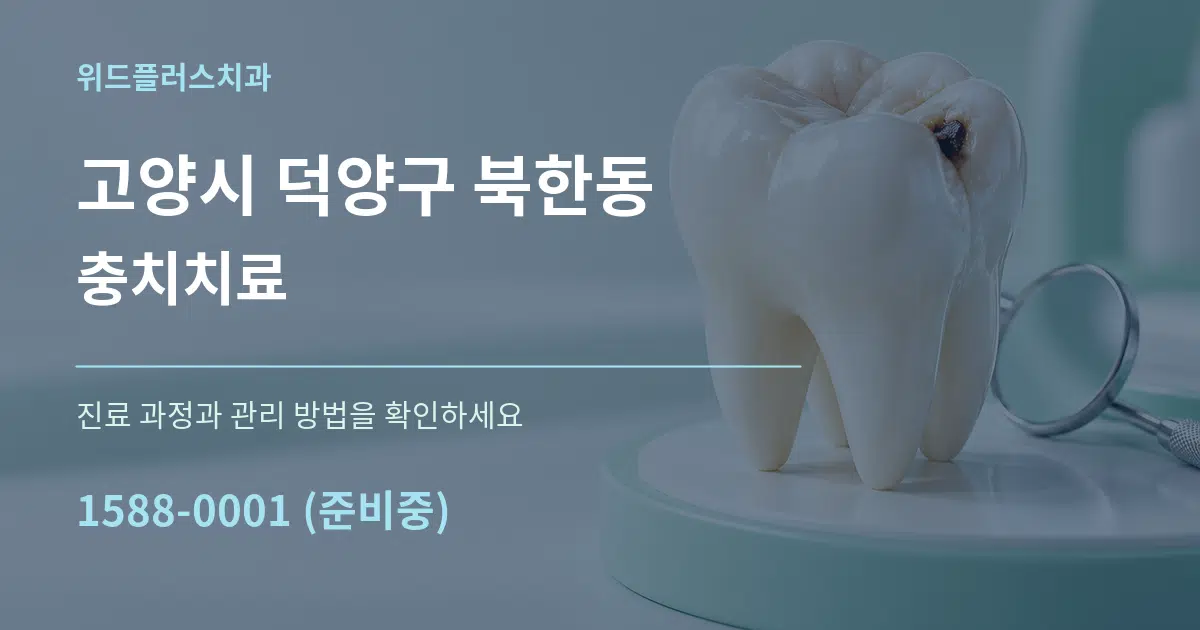 고양시 덕양구 북한동 충치치료 작업 조건 안내 그래픽