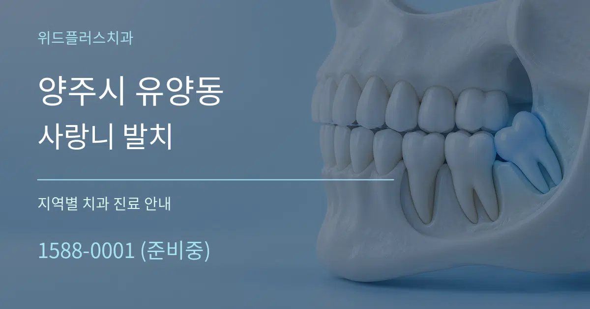 양주시 유양동 사랑니 발치 대표 안내 그래픽