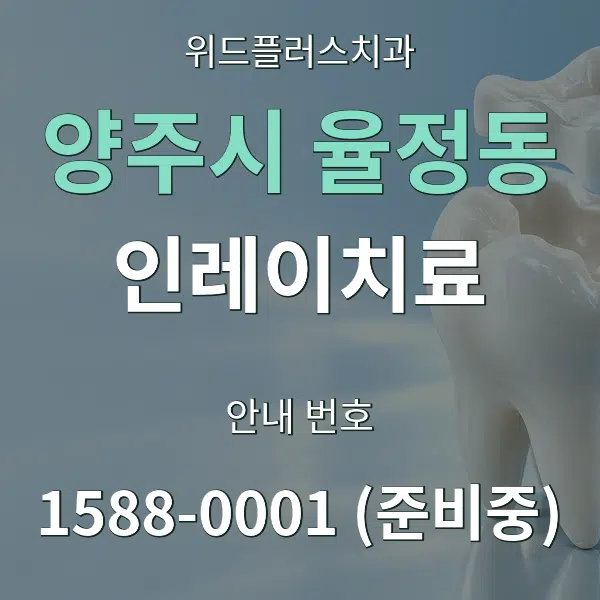 양주시 율정동 인레이치료 대표 안내 그래픽