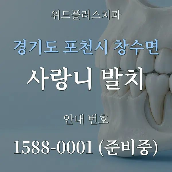 경기도 포천시 창수면 사랑니 발치 대표 안내 그래픽