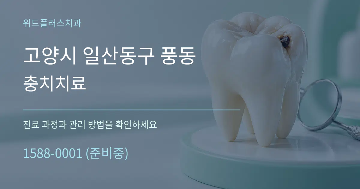고양시 일산동구 풍동 충치치료 서비스 이용 안내 그래픽