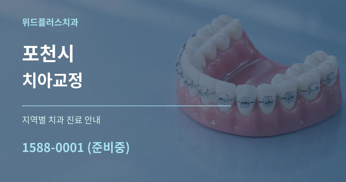 포천시 치아교정 대표 안내 그래픽