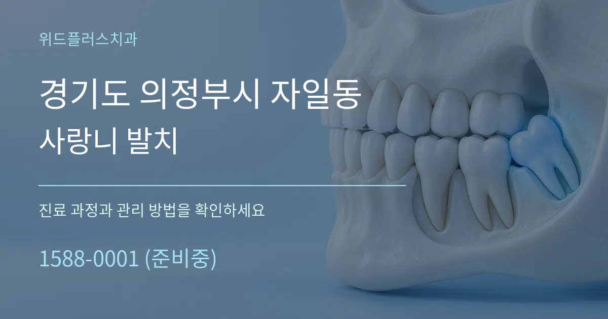 경기도 의정부시 자일동 사랑니 발치 작업 조건 안내 그래픽