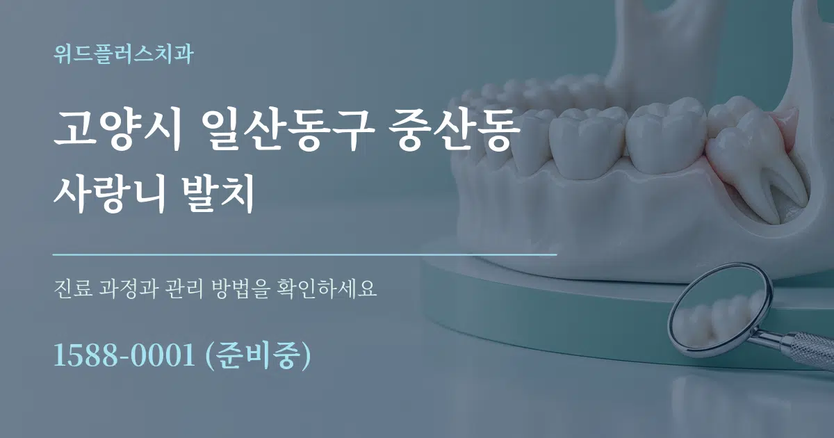 고양시 일산동구 중산동 사랑니 발치 작업 조건 안내 그래픽
