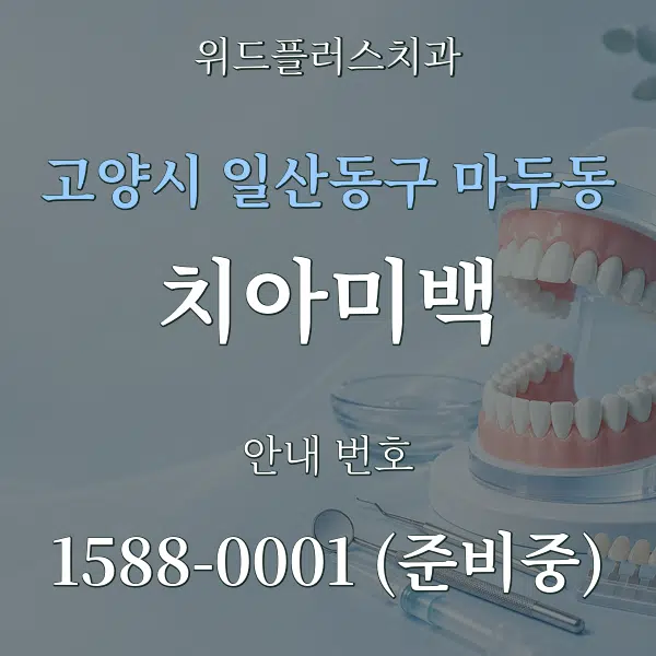 고양시 일산동구 마두동 치아미백 대표 안내 그래픽