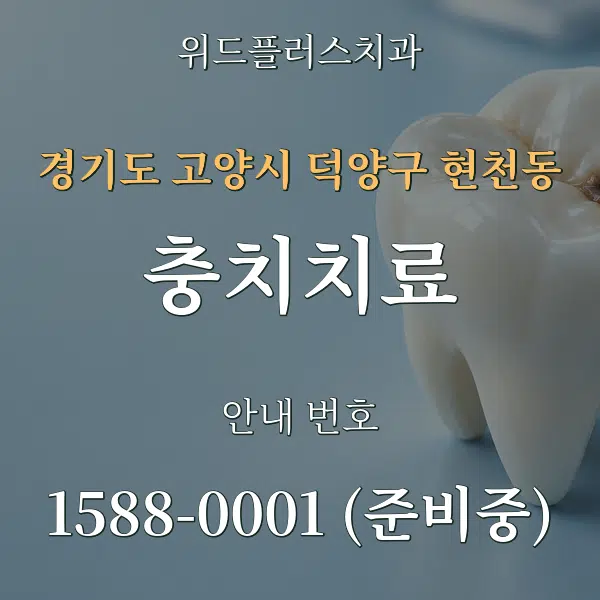 경기도 고양시 덕양구 현천동 충치치료 대표 안내 그래픽