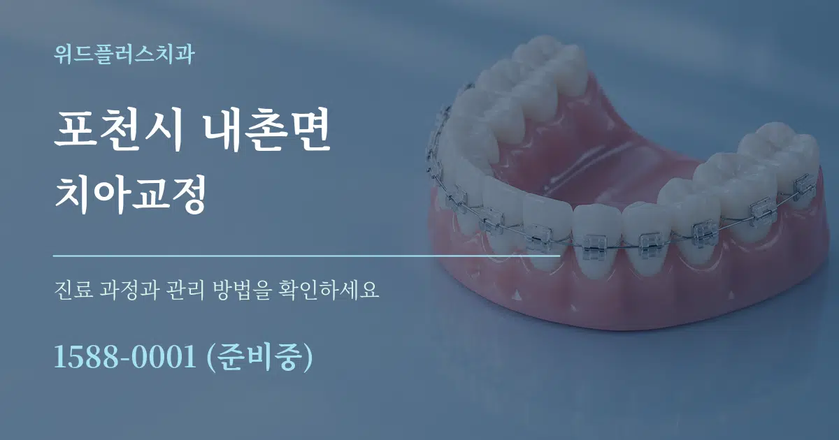 포천시 내촌면 치아교정 서비스 이용 안내 그래픽