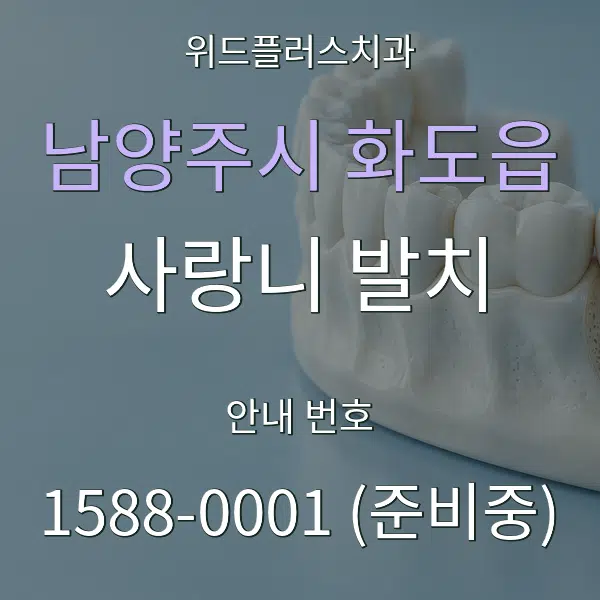 남양주시 화도읍 사랑니 발치 대표 안내 그래픽