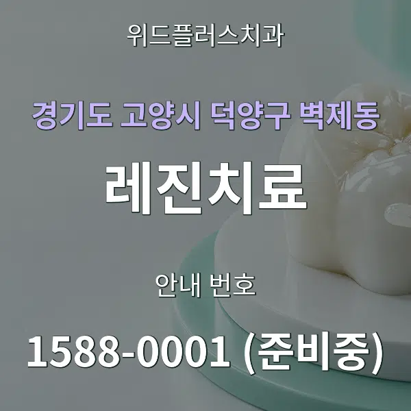 경기도 고양시 덕양구 벽제동 레진치료 대표 안내 그래픽