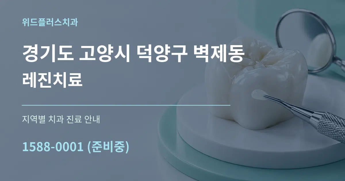 경기도 고양시 덕양구 벽제동 레진치료 대표 안내 그래픽