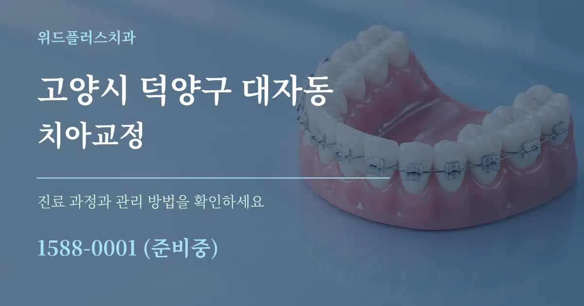 고양시 덕양구 대자동 치아교정 작업 조건 안내 그래픽