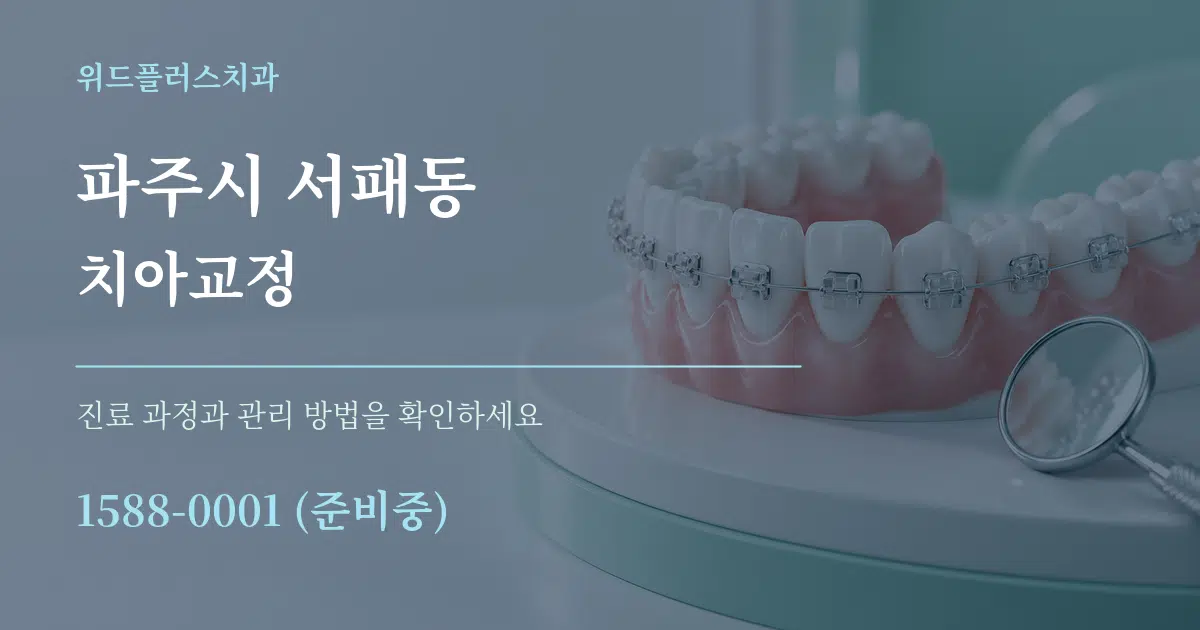 파주시 서패동 치아교정 서비스 이용 안내 그래픽