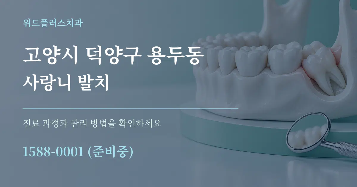 고양시 덕양구 용두동 사랑니 발치 작업 조건 안내 그래픽