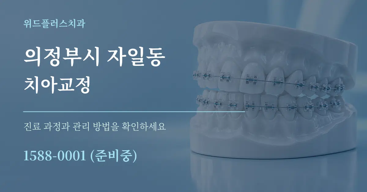의정부시 자일동 치아교정 작업 조건 안내 그래픽