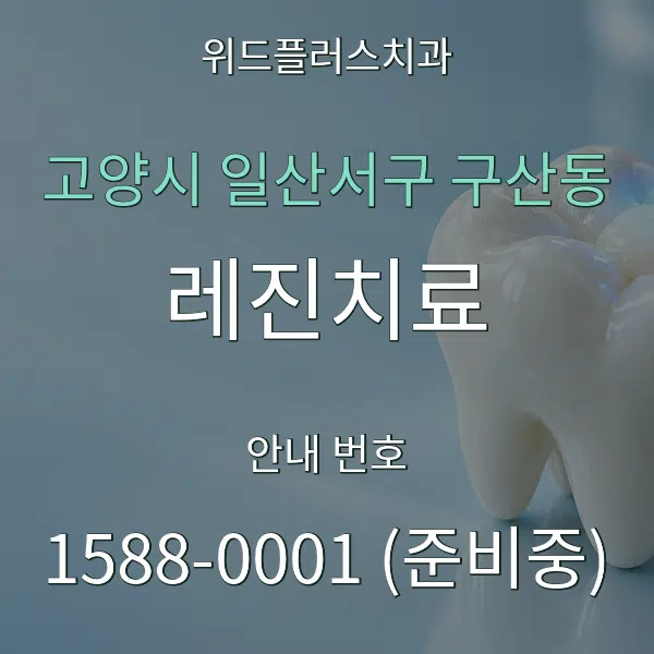 고양시 일산서구 구산동 레진치료 대표 안내 그래픽