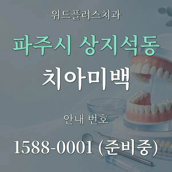 파주시 상지석동 치아미백 대표 안내 그래픽