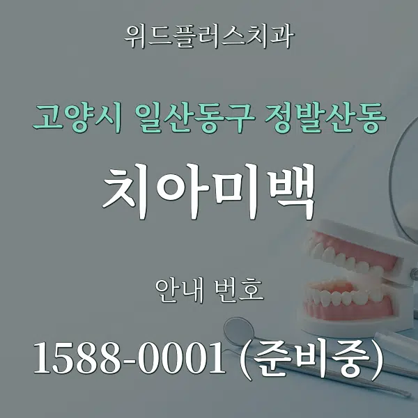 고양시 일산동구 정발산동 치아미백 대표 안내 그래픽
