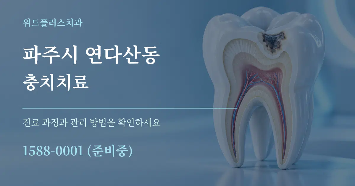 파주시 연다산동 충치치료 서비스 이용 안내 그래픽