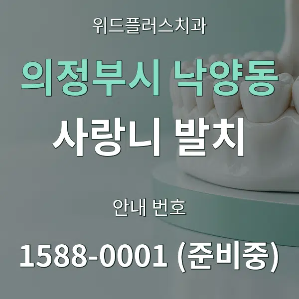 의정부시 낙양동 사랑니 발치 대표 안내 그래픽