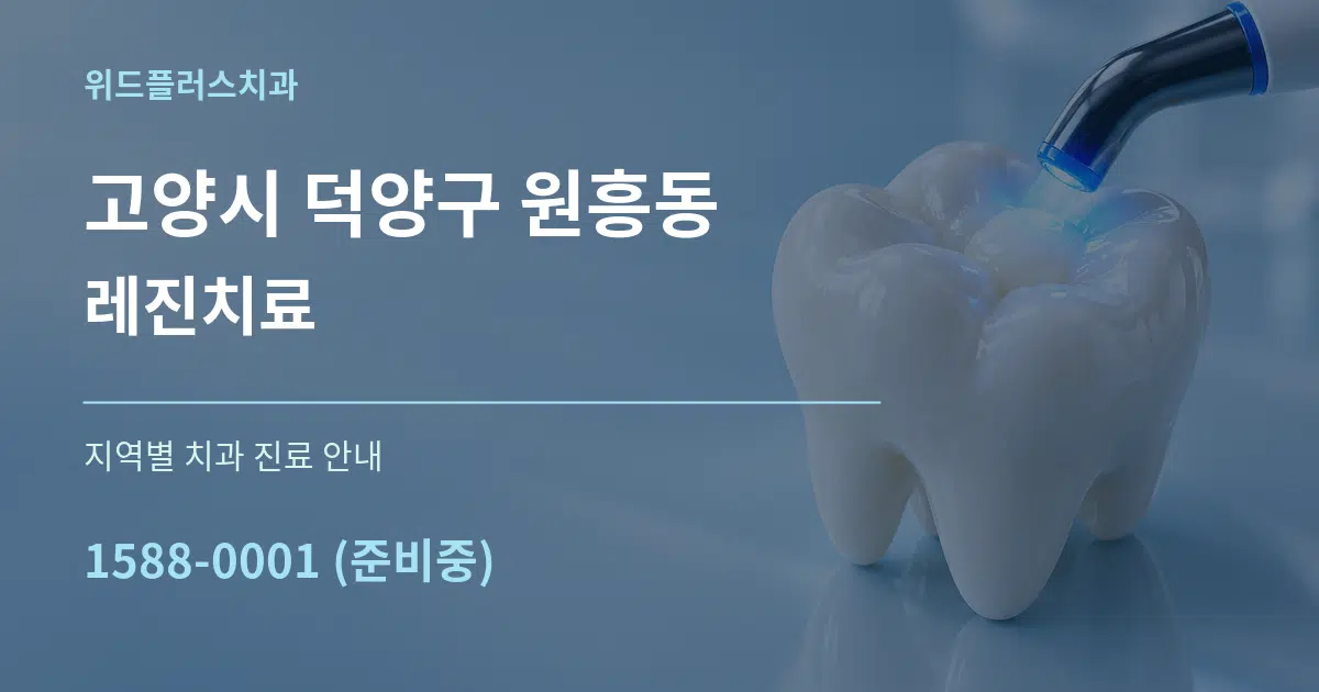 고양시 덕양구 원흥동 레진치료 대표 안내 그래픽