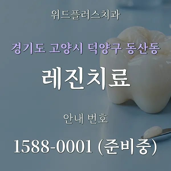 경기도 고양시 덕양구 동산동 레진치료 대표 안내 그래픽